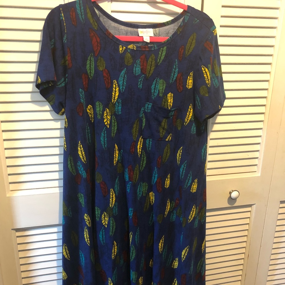Lularoe Medium Carly
